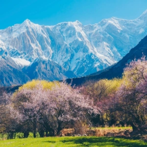 Top 10 Must-See Attractions in Tibet: Explore the Best Sights