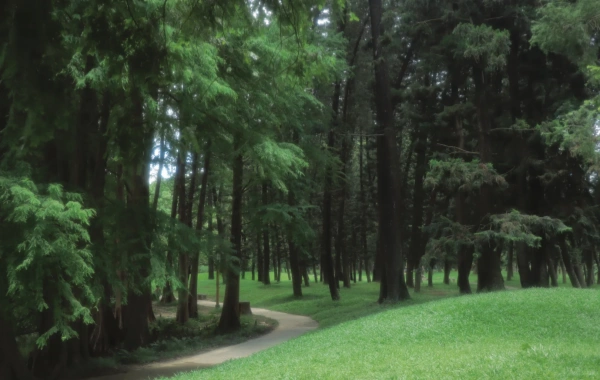 South China Botanical Garden: A vibrant epic of plant evolution and a journey to an urban oasis.-4