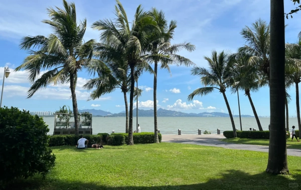 Shenzhen Bay Park: A Transformation from Coastal Mudflats to Urban Green Heart-3