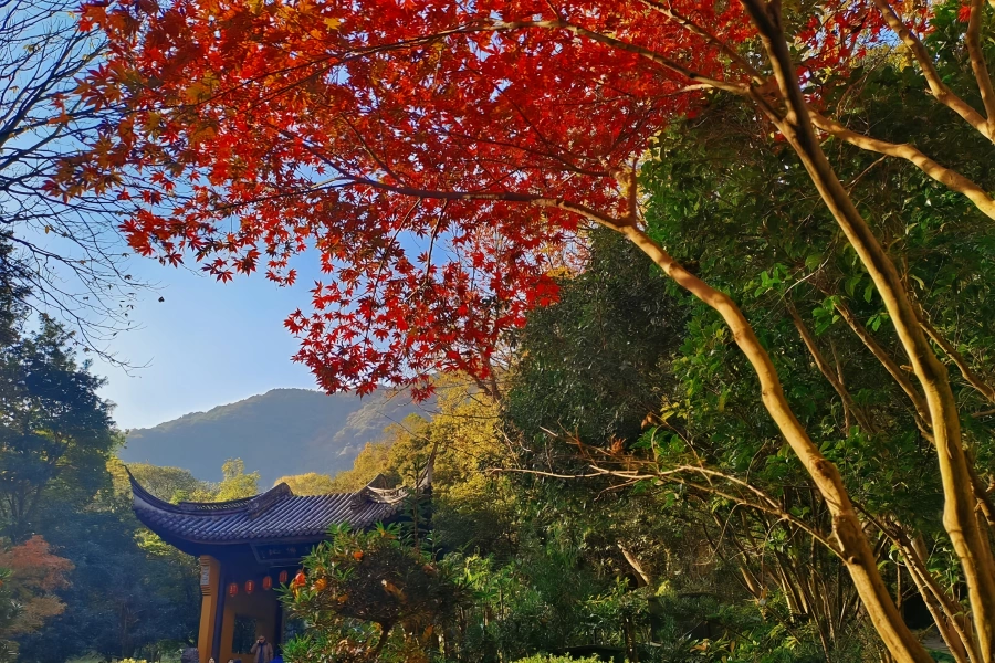Lingyin Temple: A Pilgrimage from the Place Where the Vulture Peak Flies to the Ancestral Temple of a Thousand-Year-Old Zen Buddhism-4