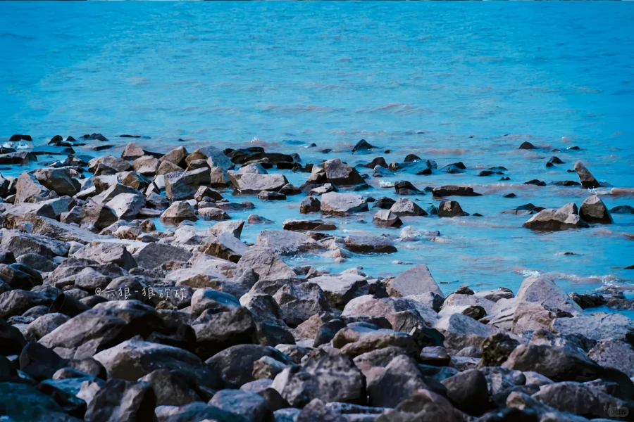 Paotaiwan Wetland Forest Park: A Rebirth Journey from River Defense Fort to Urban Green Lung-2