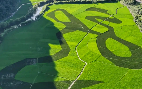 Dragon Palace: Un viaje al Museo del Karst subterráneo y al legendario 