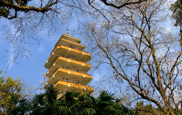 Eling Park: A Journey Through a Century-Old Garden and Panoramic Views of Two Rivers from the Chongqing Peninsula Summit-4