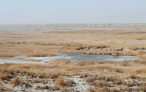 Yumenguan Pass: Un viaje a través de dos mil años de poesía y vigilancia frontal-2
