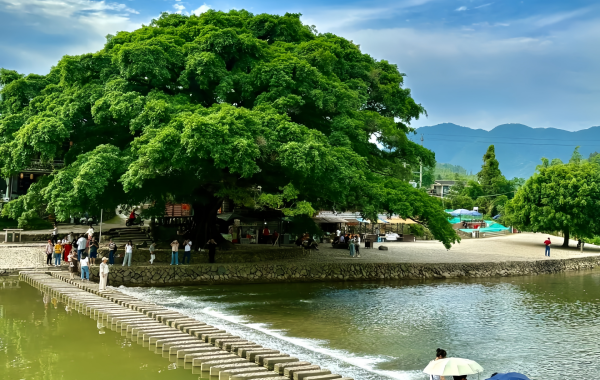 Yunshuiyao Ciudad Antigua:Un hogar poético de la pantalla del cine al Patrimonio de la Humanidad