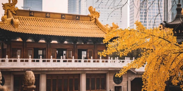 1737524104523.jpg 3fa1c2d12f4d87f528a32f4a6ecf633b_副本.jpg