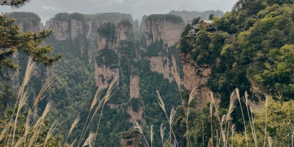 Yuanjiajie Scenic Area,day trips from zhyangjiajie.jpg