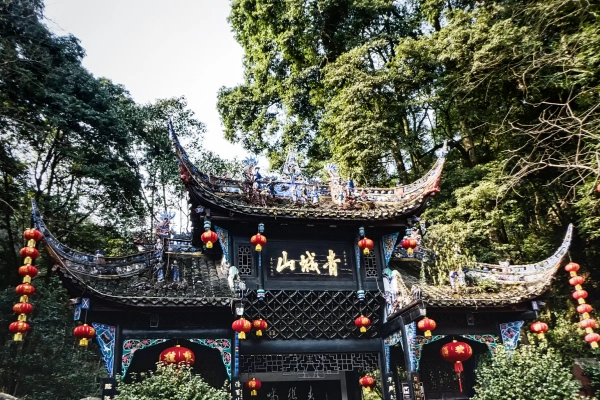 Private two-day tour in Chengdu: Panda and Qingcheng Mountain