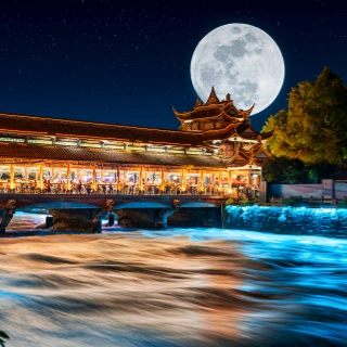 Private two-day tour in Chengdu: Panda and Qingcheng Mountain