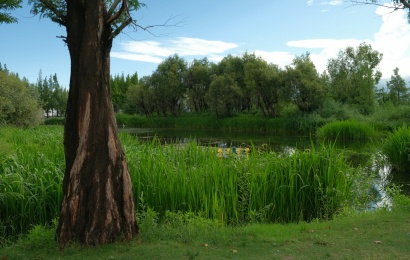 1-Day Dali Cultural Tour