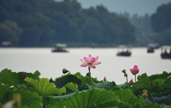 Hangzhou 3-Day Tour