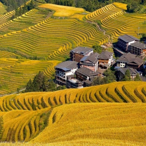 9-Day Guangzhou, Guilin & Guizhou Tour