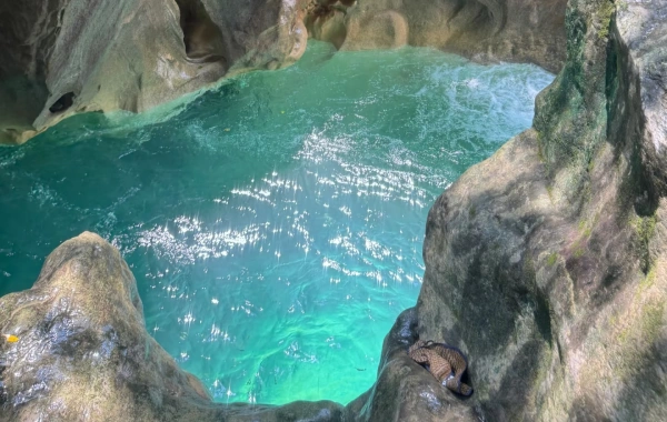 9-Day Guizhou, Chengdu, Jiuzhaigou & Leshan Giant Buddha Exploration